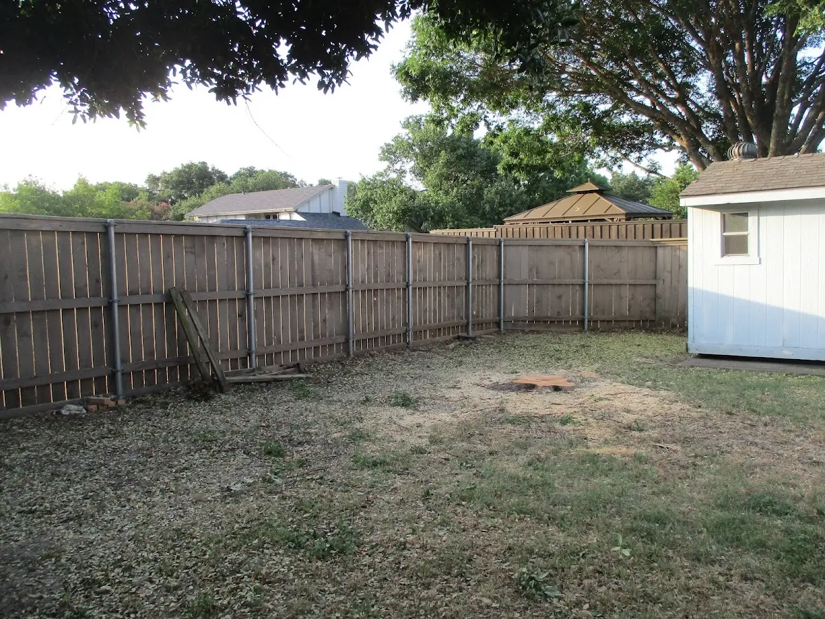 Cleared yard after professional tree removal in Saint Francis